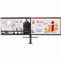 68,47cm/27 (2560x1440) LG Ergo Dual 27QP88DP-BS 16:9 5ms IPS HDMI DisplayPort USB-C VESA Pivot QHD