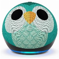 Amazon Echo Dot 5 Eulen Design