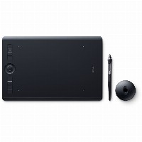 Wacom DIG Intous Pro M