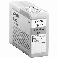 Epson C13T850700 light black
