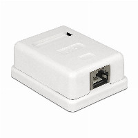 Delock 86169 Netzwerkdose Aufputz, Gerätemontage Einsatz mit Zentralplatte und Rahmen CAT 6 1 Port