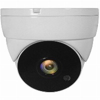 CCTV ACS-5302 Dome In 2MP IR