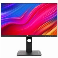 DW-2401 24IN IPS 2560X1440 300