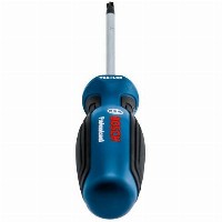 Bosch Schraubendreher TX 25 x 100