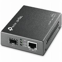 TP-Link Omada Nek MC420L Muli-Gigabit RJ45 to 10G SFP+ Slot