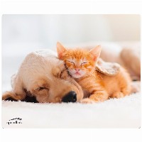 Speedlink Mauspad SILK. Hund & Katze retail