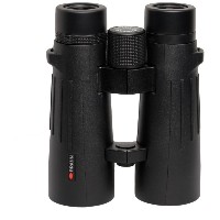 Braun Compagno 10x50 WP