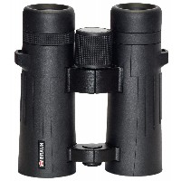 Braun Compagno 10x42 WP