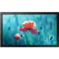 Samsung Smart Signage QB13R-M 33.02cm(13″) Edge LED