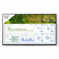 FW-55BZ30L 55INCH PRO