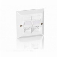 Equip Unterputzdose nur Frontplatte 2 Keystone 45° RAL 1013