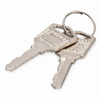 DIGITUS Schlüssel für Ladeschränke Artikel 347329/389306