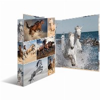 HERMA Ringbuch A4 Pferde 2D