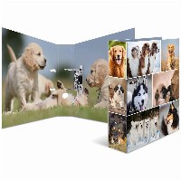 HERMA Ordner A4 Hunde