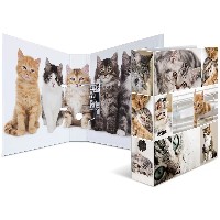 HERMA Ordner A4 Katzen