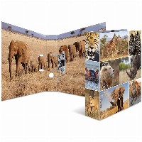 HERMA Ordner A4 Afrika Tiere