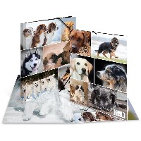 HERMA Sammelmappe A4 Hunde Pappe