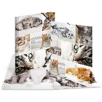 HERMA Sammelmappe A4 Katzen Pappe