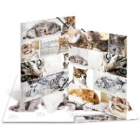 HERMA Sammelmappe A3 Katzen Pappe