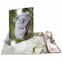 HERMA Sammelmappe A4 Glossy Koala Polypropylen