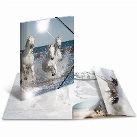 HERMA Sammelmappe A4 Glossy Pferd Polypropylen