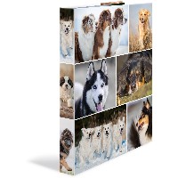 HERMA Ringbuch A4 Hunde 4D