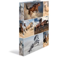 HERMA Ringbuch A4 Pferde 4D