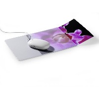 DURABLE Mouse Pad Plus mit Fotoeinschub grau/transp