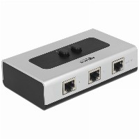 DELOCK Umschalter RJ45 10/100/1000mbps 2 Port manuell bidirektional