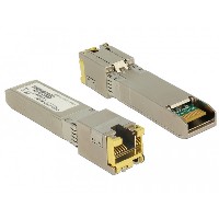 DELOCK SFP+ Modul 10GBase-T RJ45