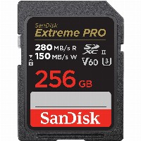 CARD PRO 256GB V60 UHS-II S