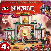 LEGO 71831 Ninjago Spinjitzu-Tempel der Ninja