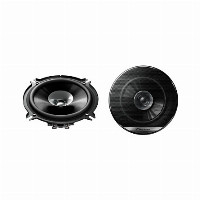 Pioneer TS-G1310F
