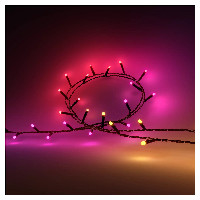 Philips by Signify Hue White and colour ambience 8720169246621 smart lighting