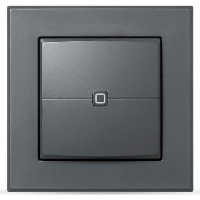 Homematic IP Wandtaster - 2-fach, anthrazit