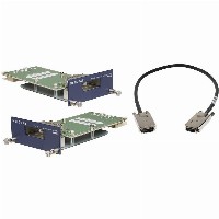 Z Netgear AX742 24Gb Stacking Kit